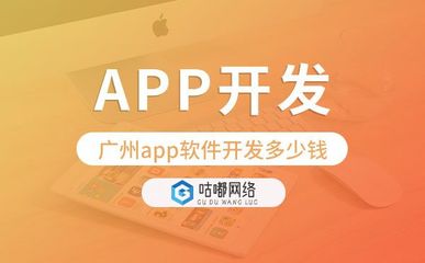 重慶APP軟件開發費用解析 從概念到落地的成本考量